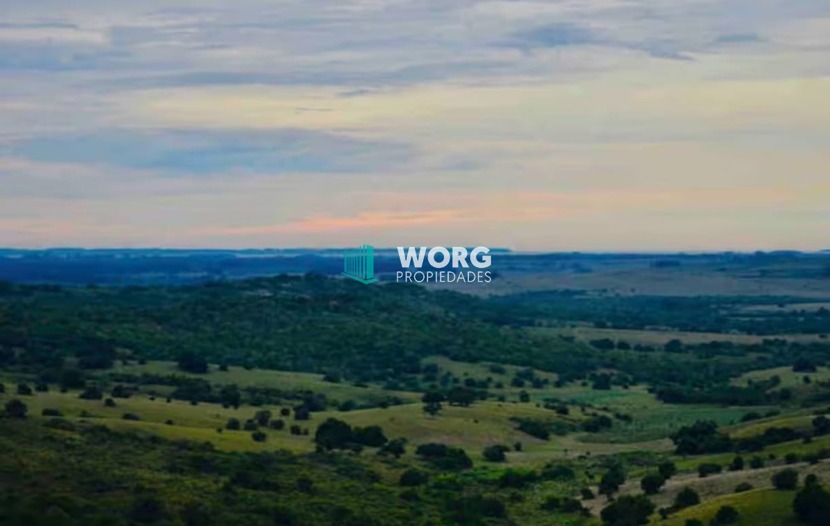 Campo Ref.81 - Hermoso campo de 92 hectáreas