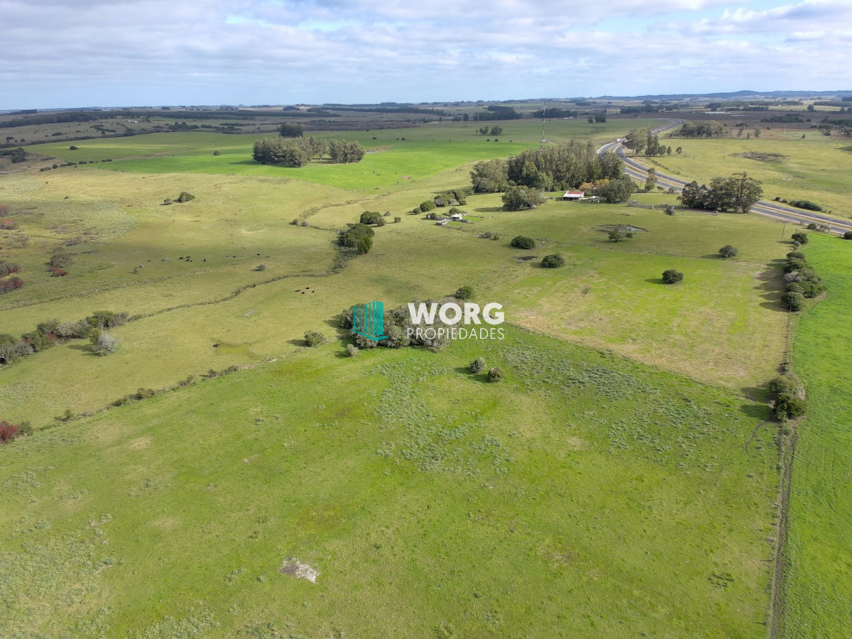 Campo Ref.27 - Excelente campo en en el sauce Rocha