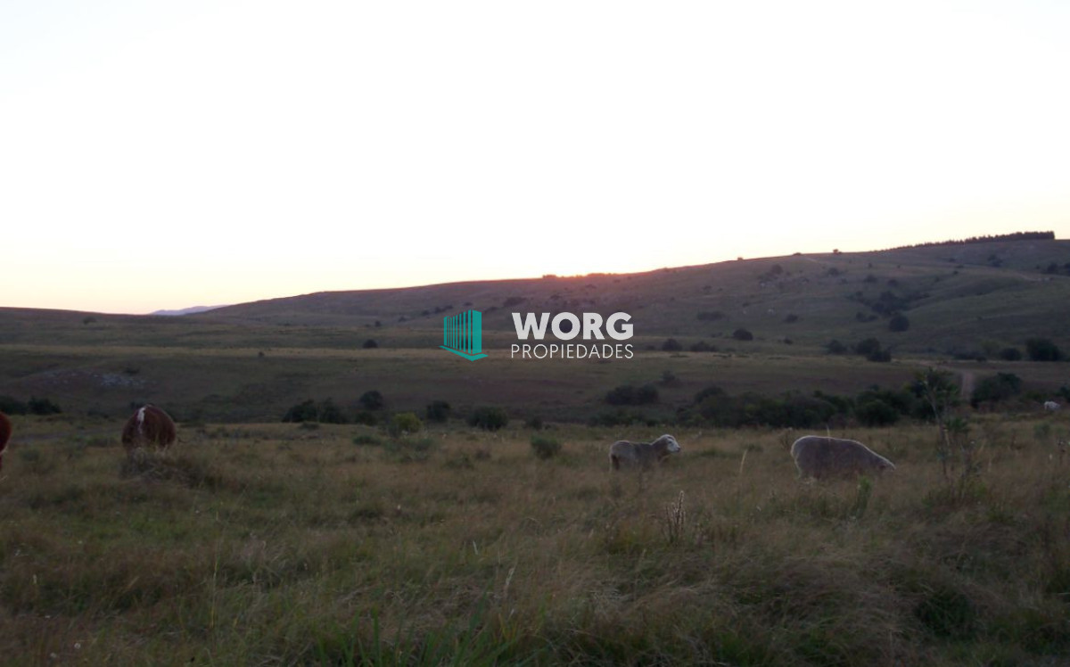Campo Ref.90 - Excelente campo ganadero en Mariscala
