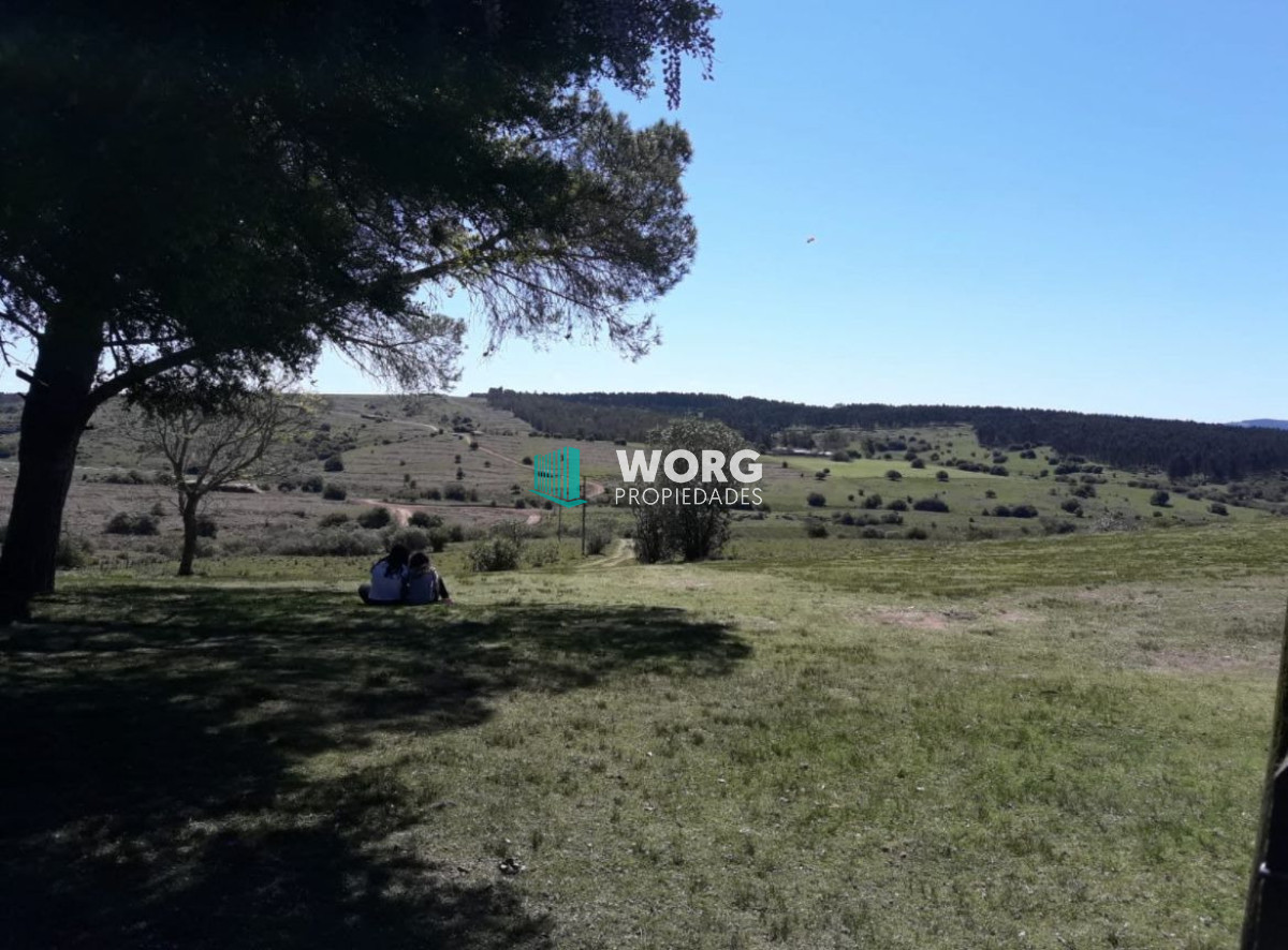 Campo Ref.90 - Excelente campo ganadero en Mariscala