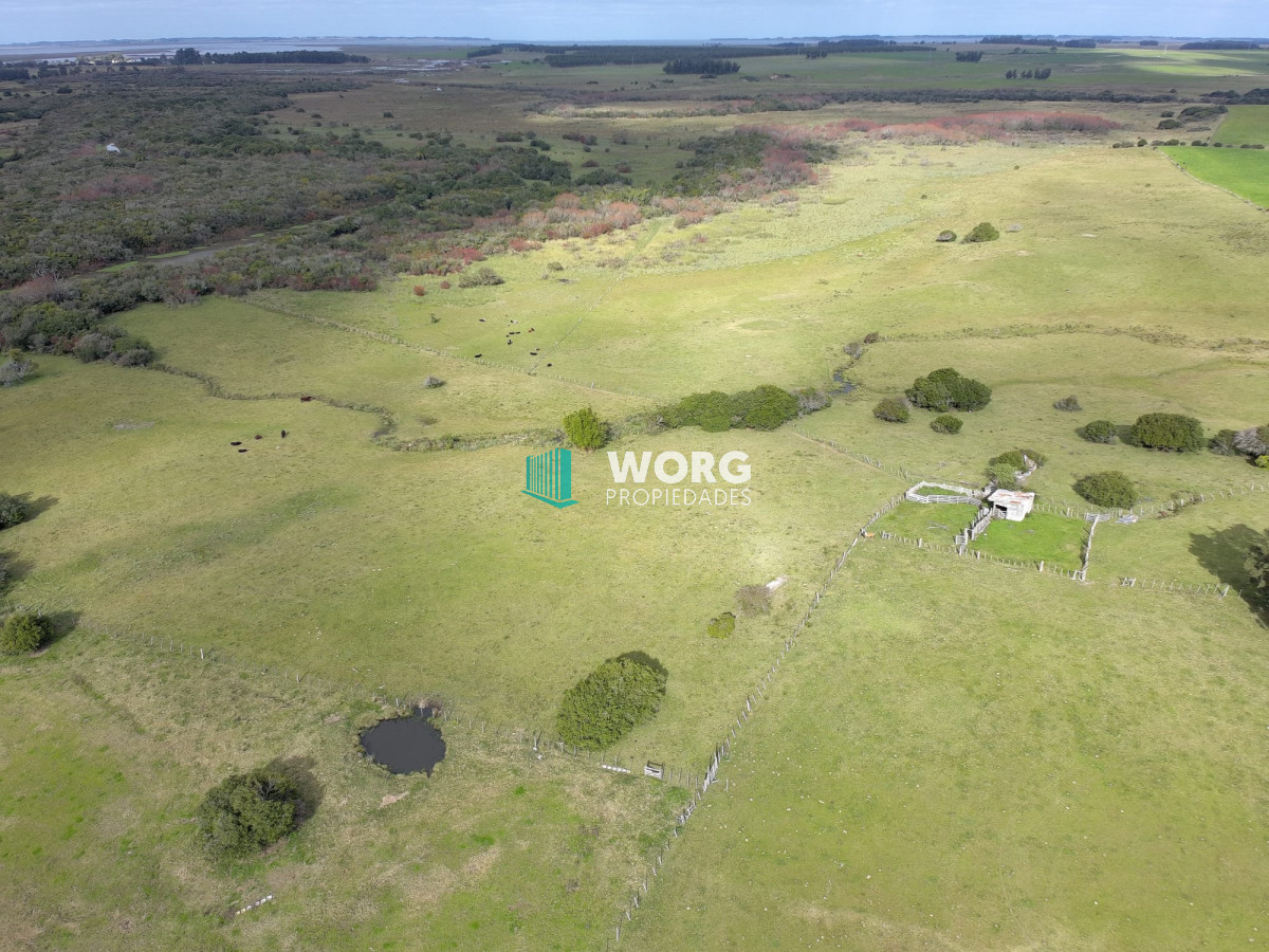 Campo Ref.27 - Excelente campo en en el sauce Rocha