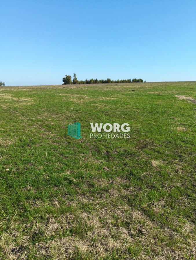 Campo Ref.105 - Hermoso campo agrícola ganadero en Lavalleja
