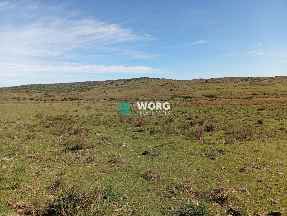 Campo Ref.106 - Excelente campo en Cerro Largo