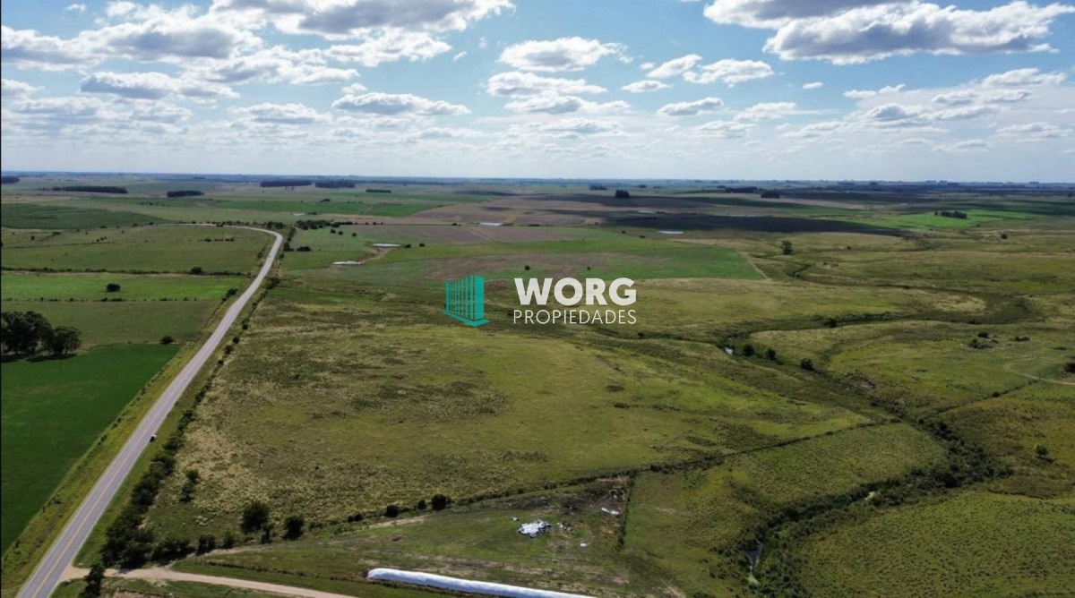 Campo Ref.66 - Campo agricola ganadero en Florida