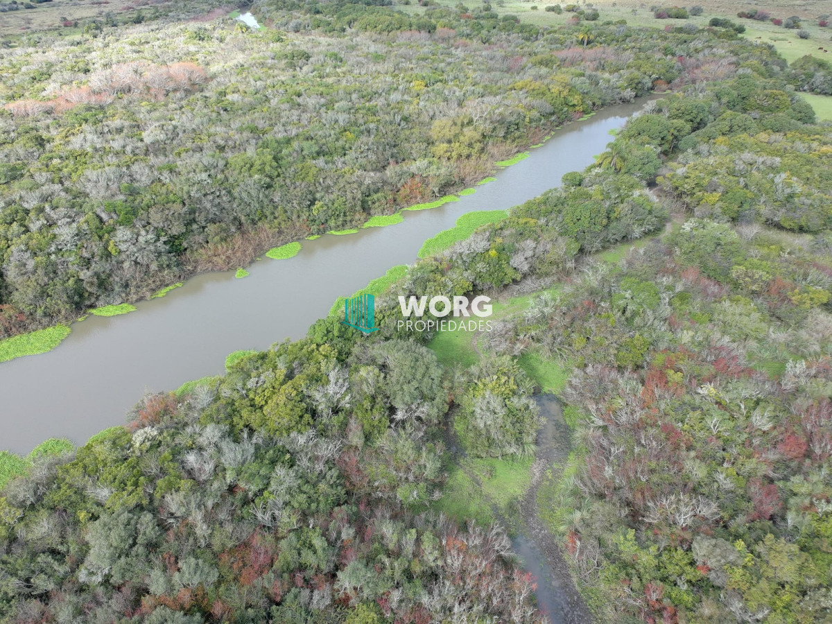 Campo Ref.27 - Excelente campo en en el sauce Rocha