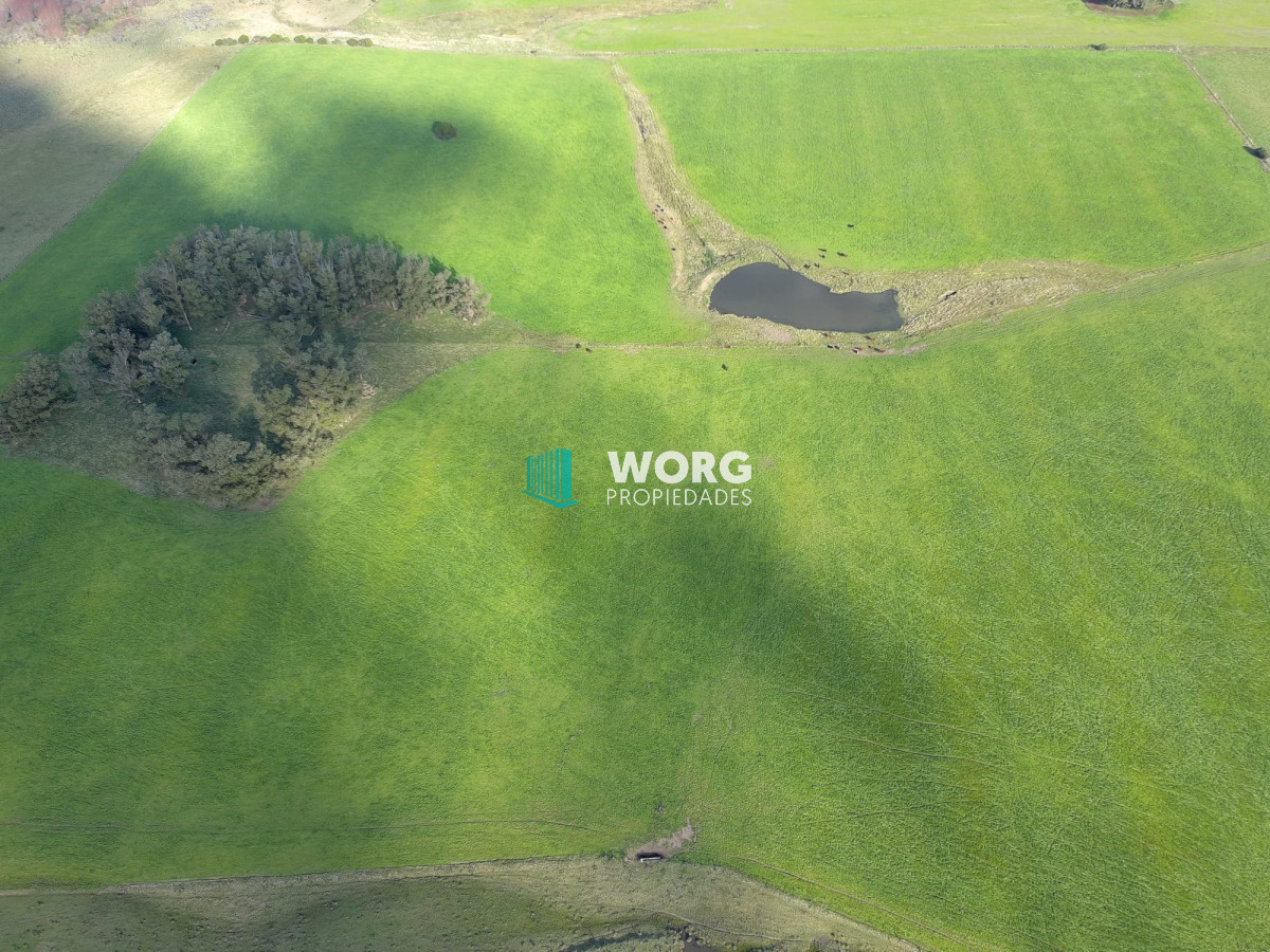 Campo Ref.27 - Excelente campo en en el sauce Rocha