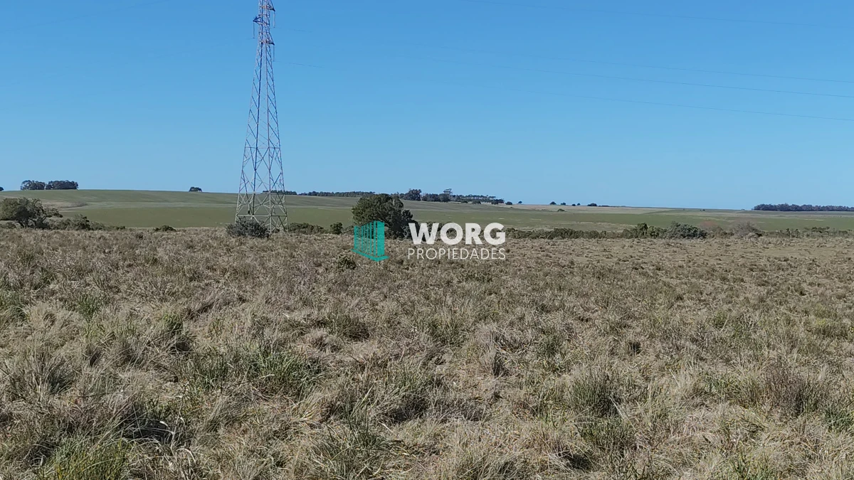 Campo Ref.48 - OPORTUNIDAD