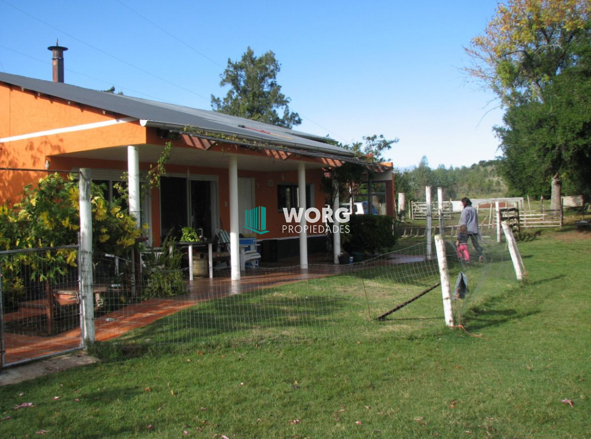 Campo Ref.90 - Excelente campo ganadero en Mariscala