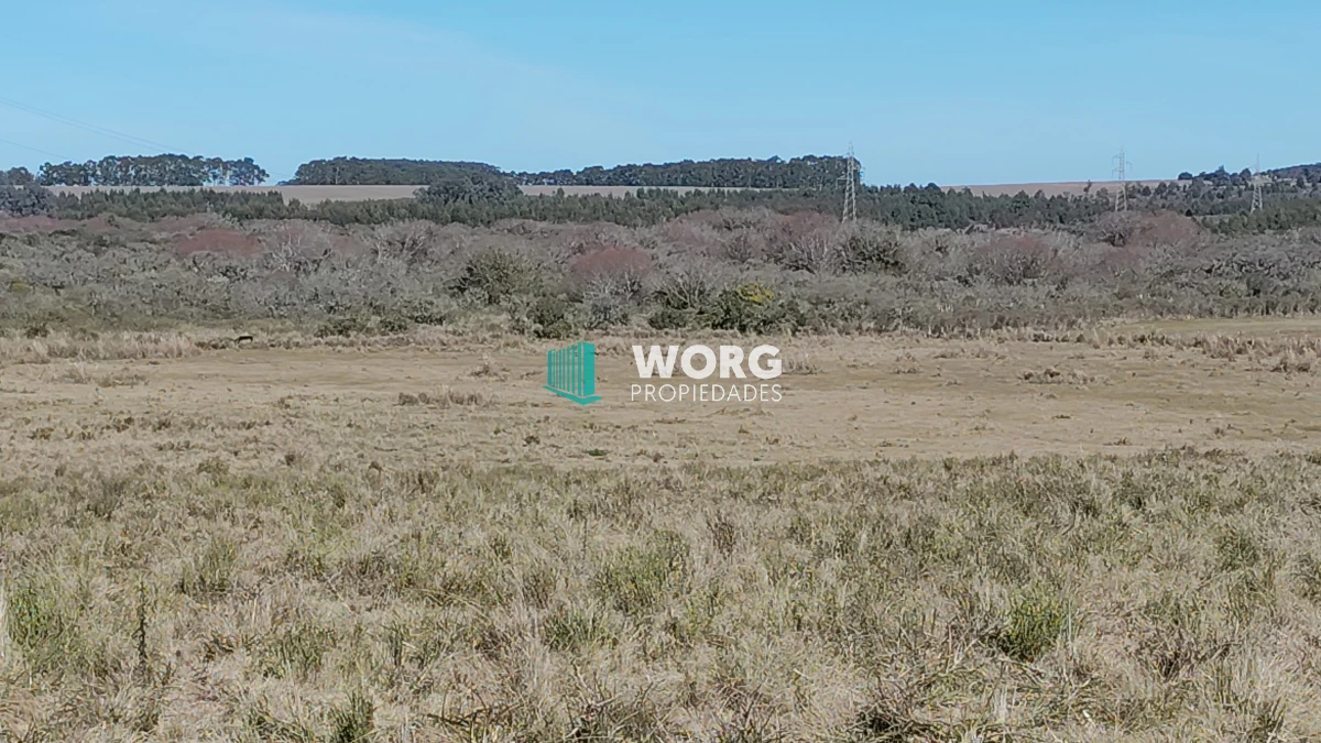 Campo Ref.48 - OPORTUNIDAD