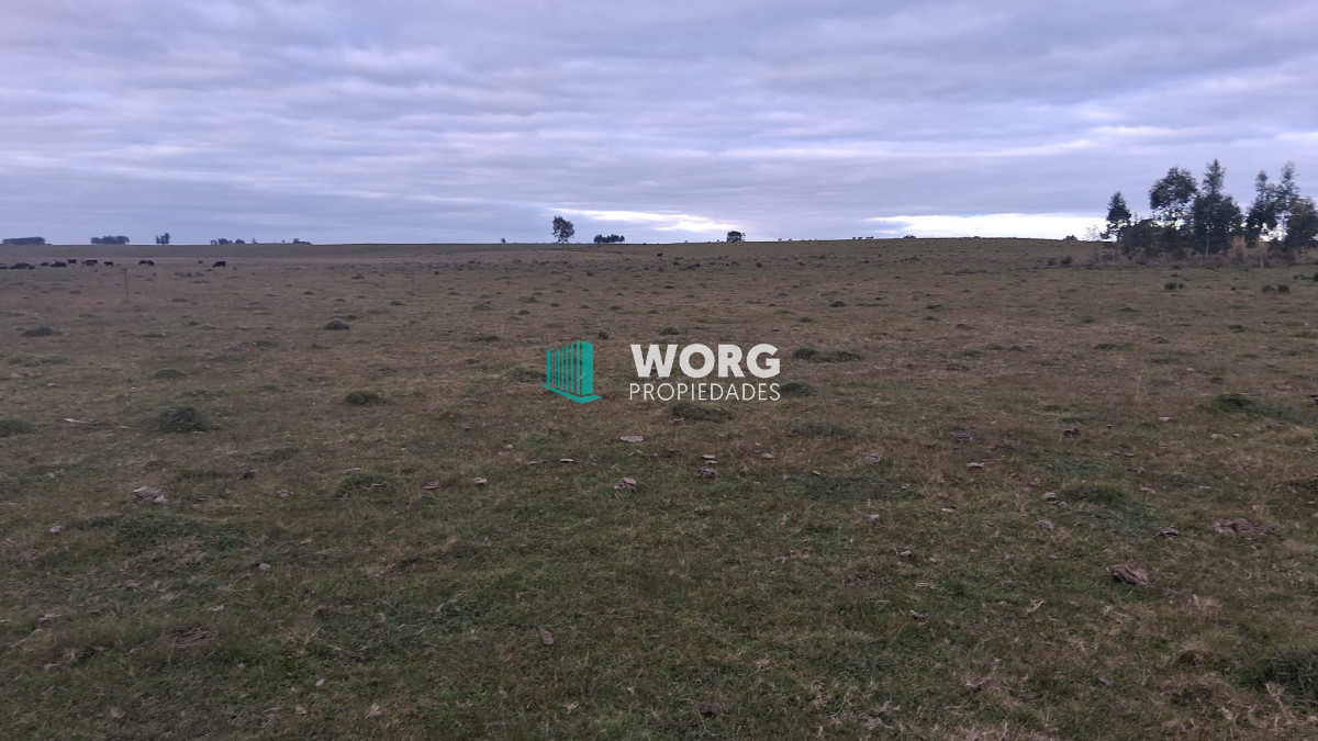 Campo Ref.107 - Excelente campo agrícola ganadero