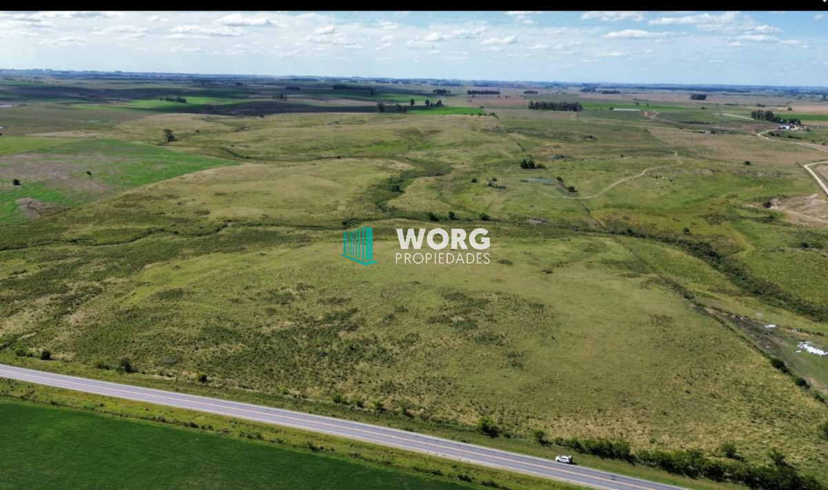 Campo Ref.66 - Campo agricola ganadero en Florida