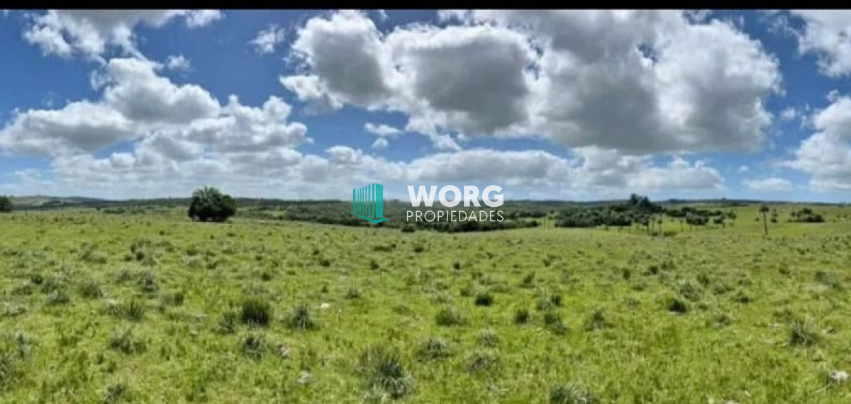Campo Ref.120 - Excelente campo ganadero