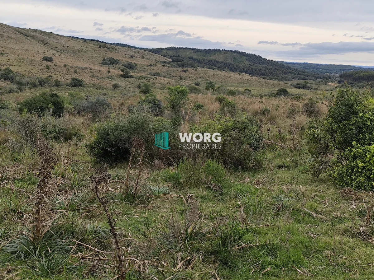 Campo Ref.34 - OPORTUNIDAD