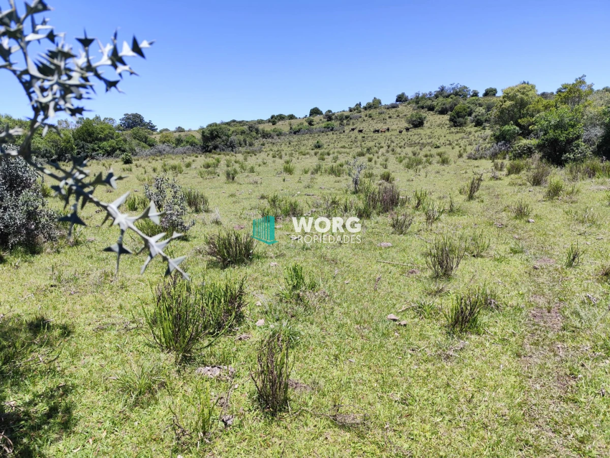Campo Ref.92 - Excelente campo turístico ganadero