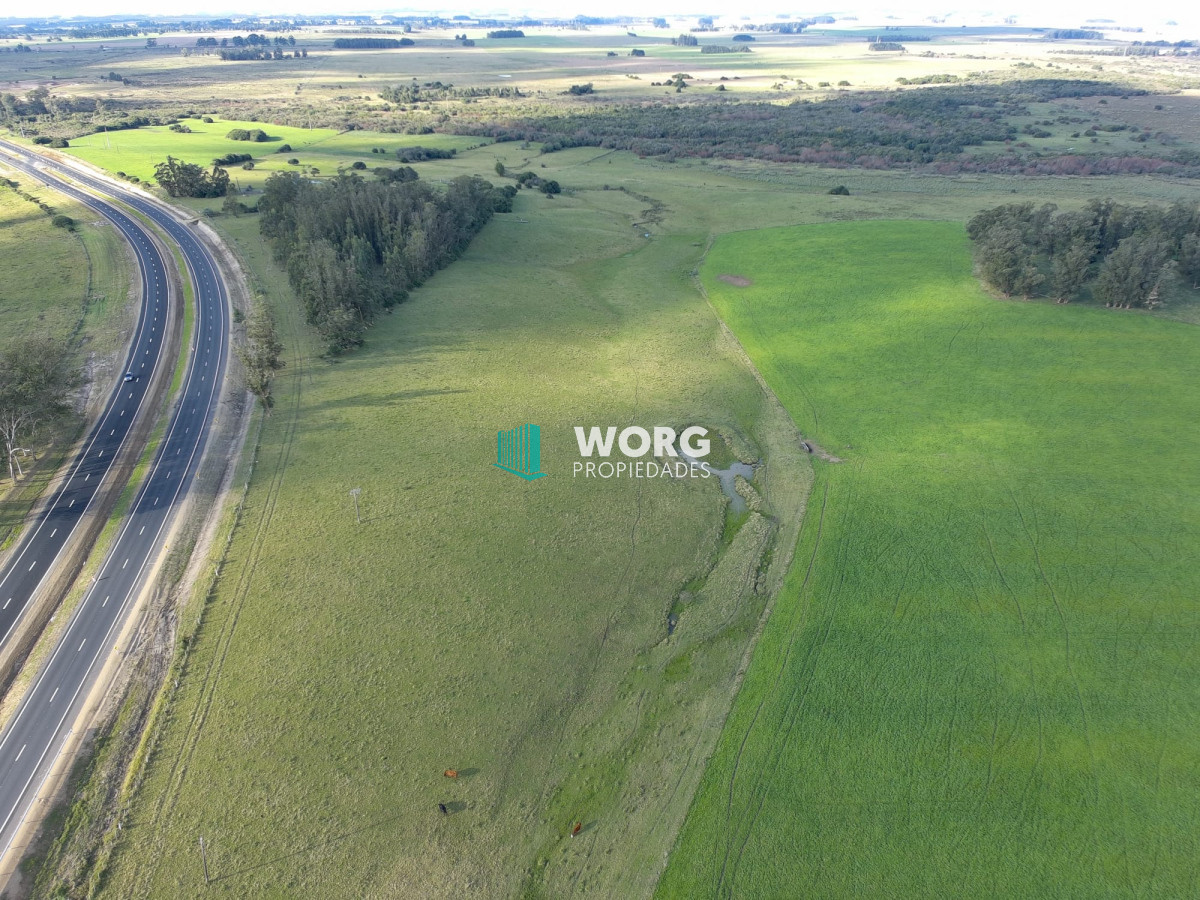 Campo Ref.27 - Excelente campo en en el sauce Rocha