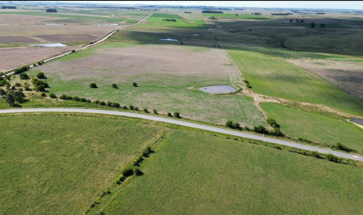Campo agricola ganadero en Florida