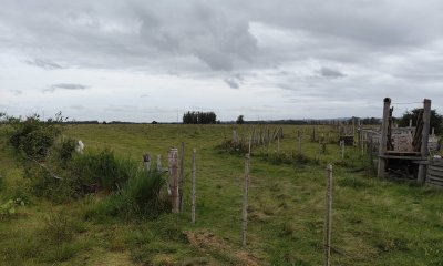 Excelente campo en La Pantanosa