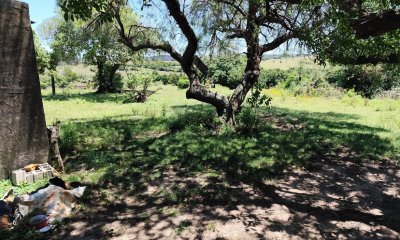 Excelente campo en Don Carlos