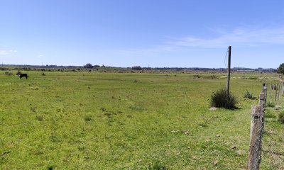 Campo de 37 hectáreas sobre ruta 39