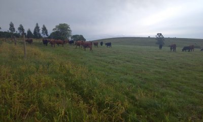 Excelente campo en ruta 9