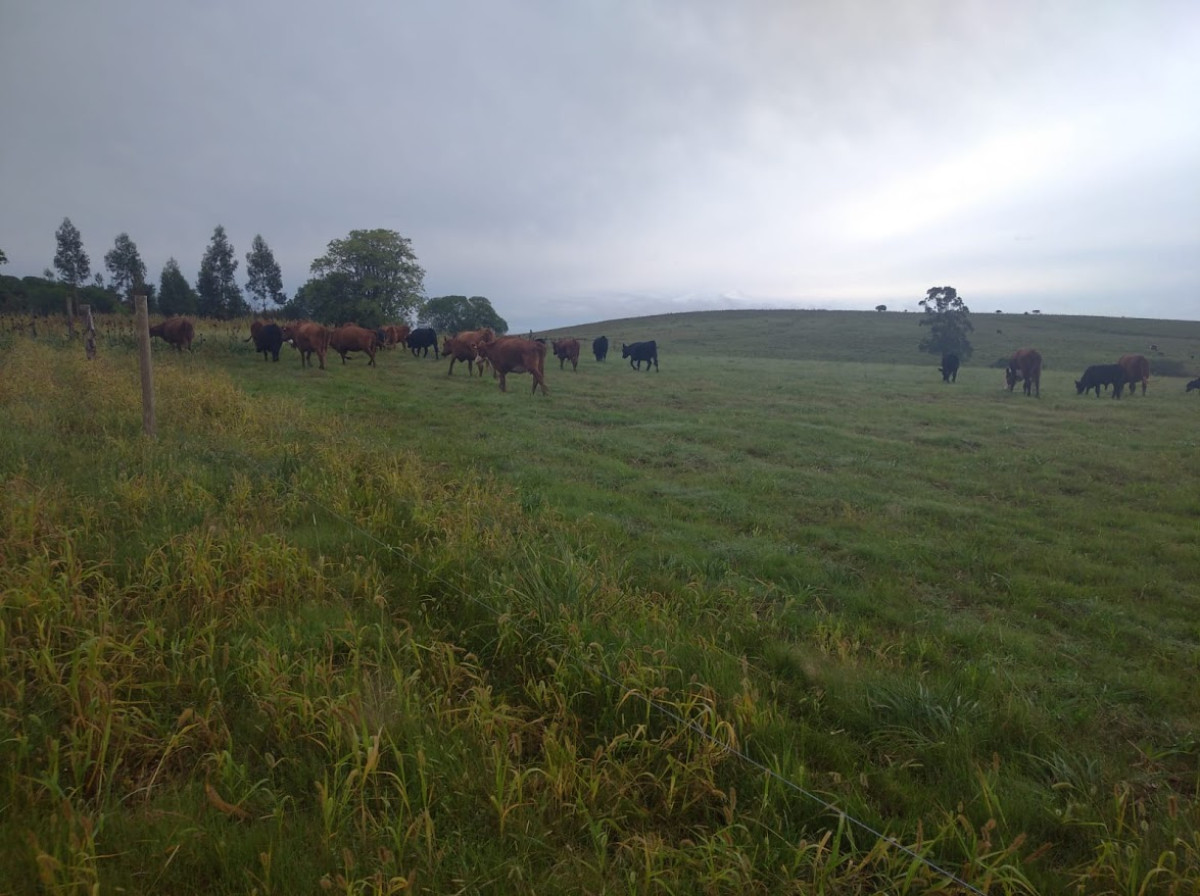 Excelente campo en ruta 9