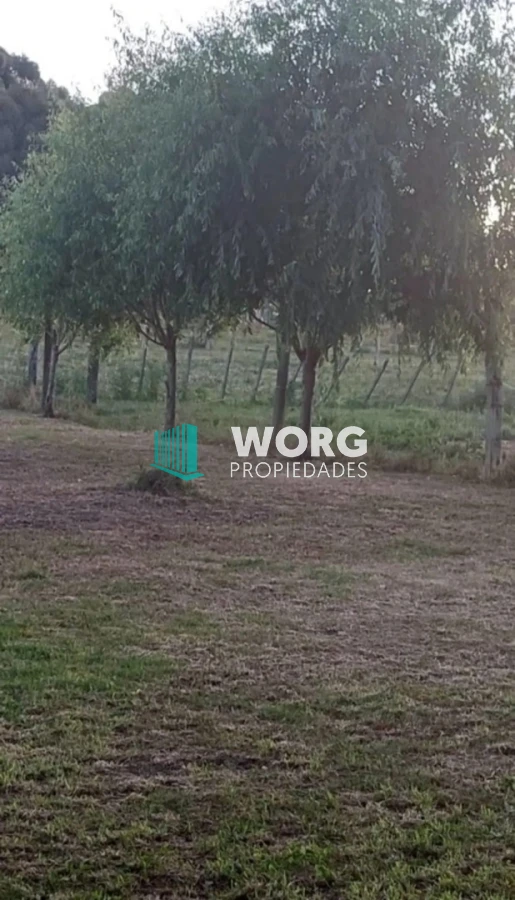 Terreno ID.82 - Excelente terreno en Arachania.
