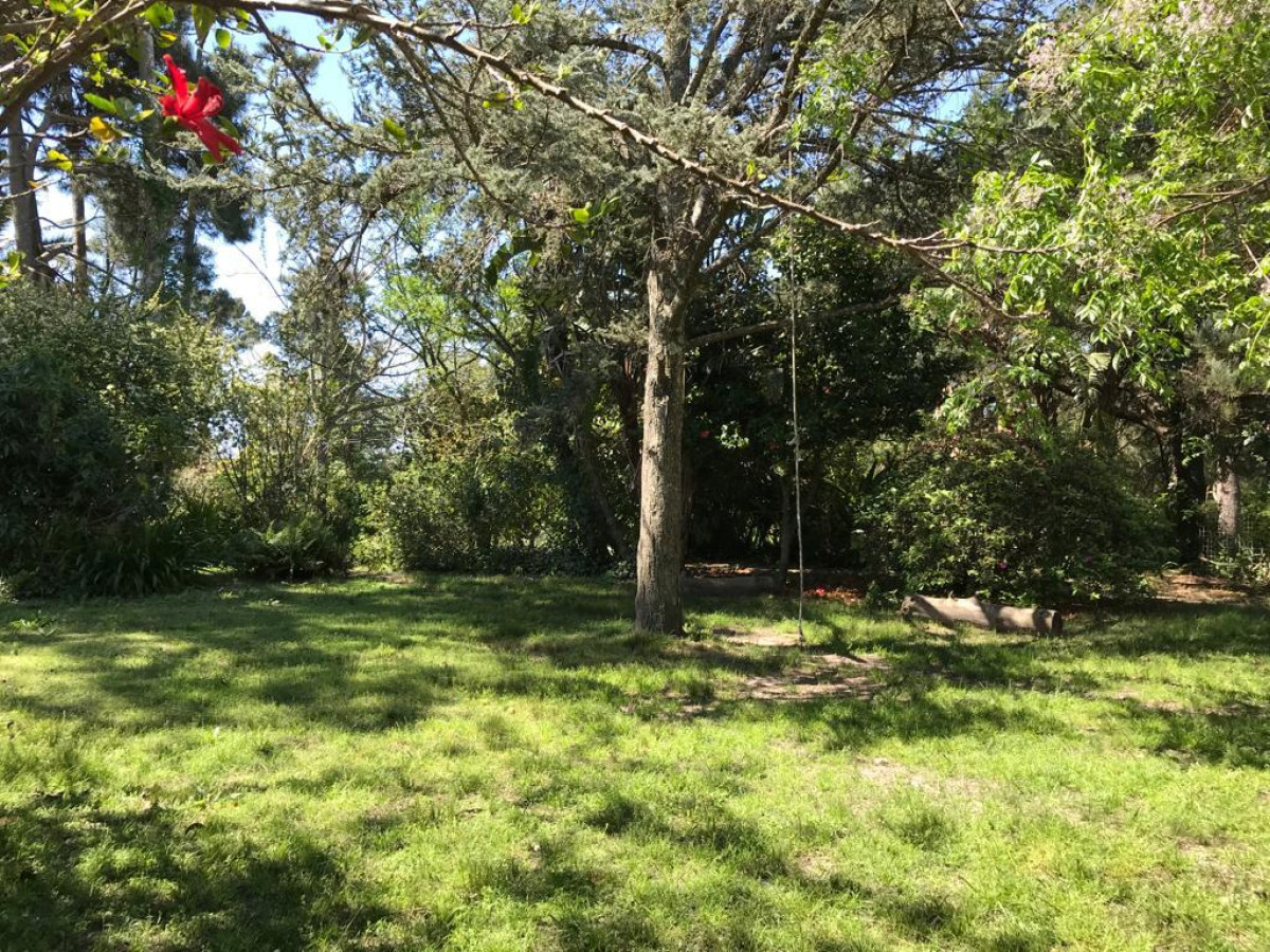 Las Toscas - GoPunta - Portal Inmobiliario de Punta del Este - Maldonado