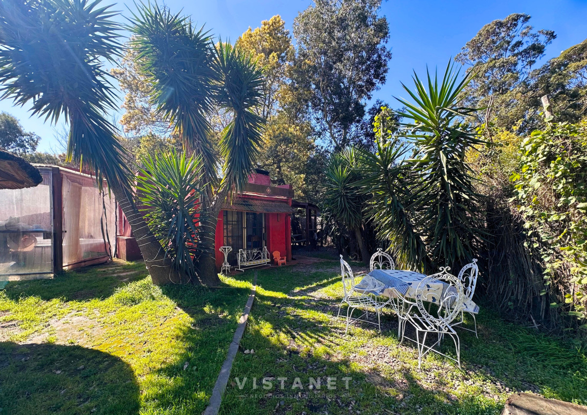Pinares - GoPunta - Portal Inmobiliario de Punta del Este - Maldonado