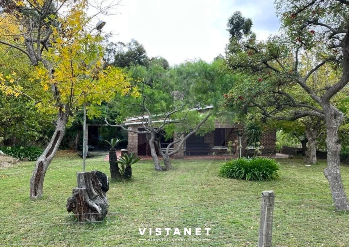 Los Titanes - GoPunta - Portal Inmobiliario de Punta del Este - Maldonado