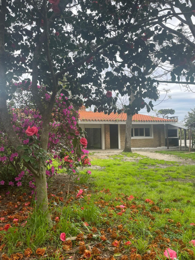 Las Toscas - GoPunta - Portal Inmobiliario de Punta del Este - Maldonado