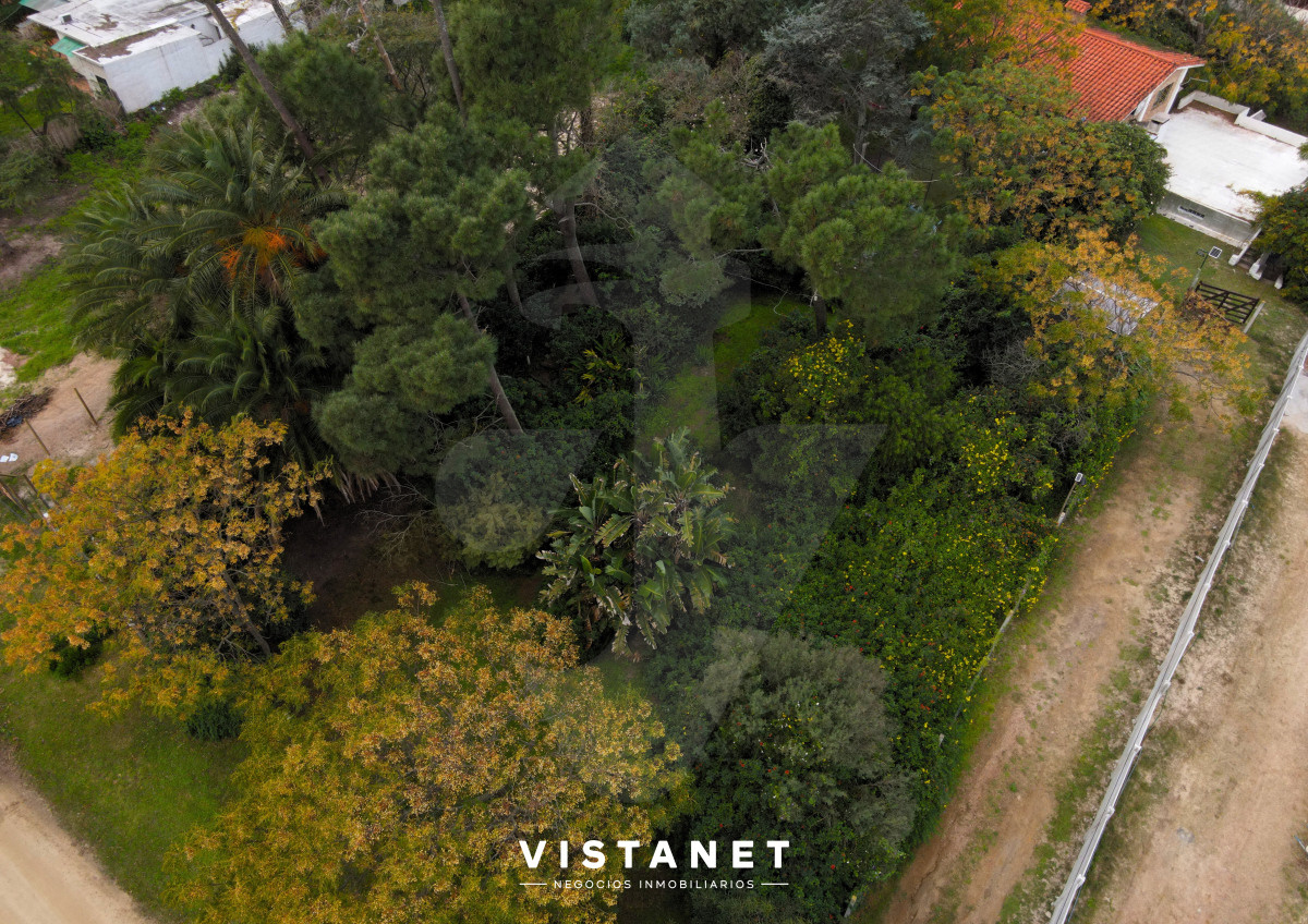 Las Toscas - GoPunta - Portal Inmobiliario de Punta del Este - Maldonado
