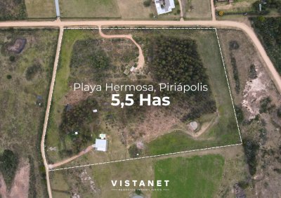 Venta Chacra de 5,5 Has con dos casas en Piriapolis
