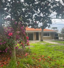 Dos casas en venta con gran terreno de 1860m2 Las Toscas Sur