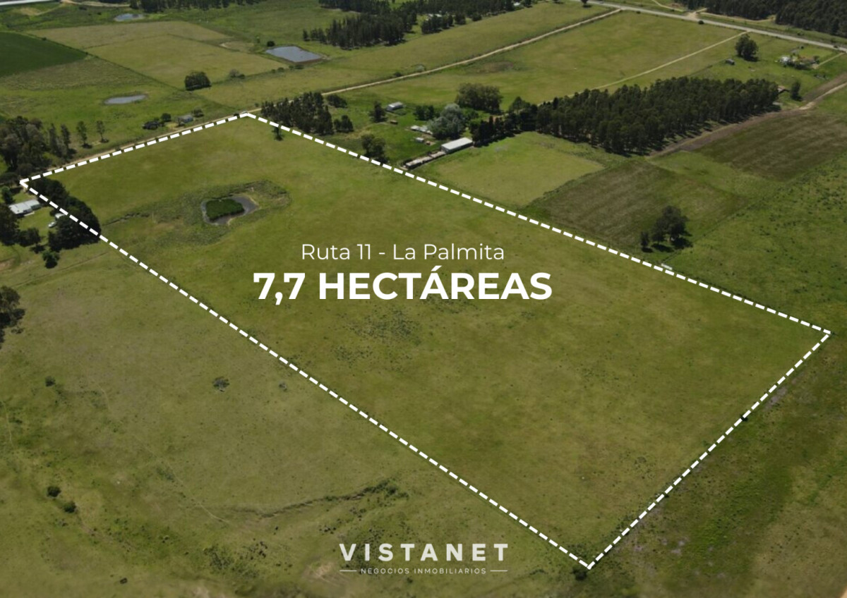 Chacra ID.233/Venta-Chacra-de-7.7Has-sobre-Ruta-11,-La-Palmita - Venta Chacra de 7.7Has sobre Ruta 11, La Palmita