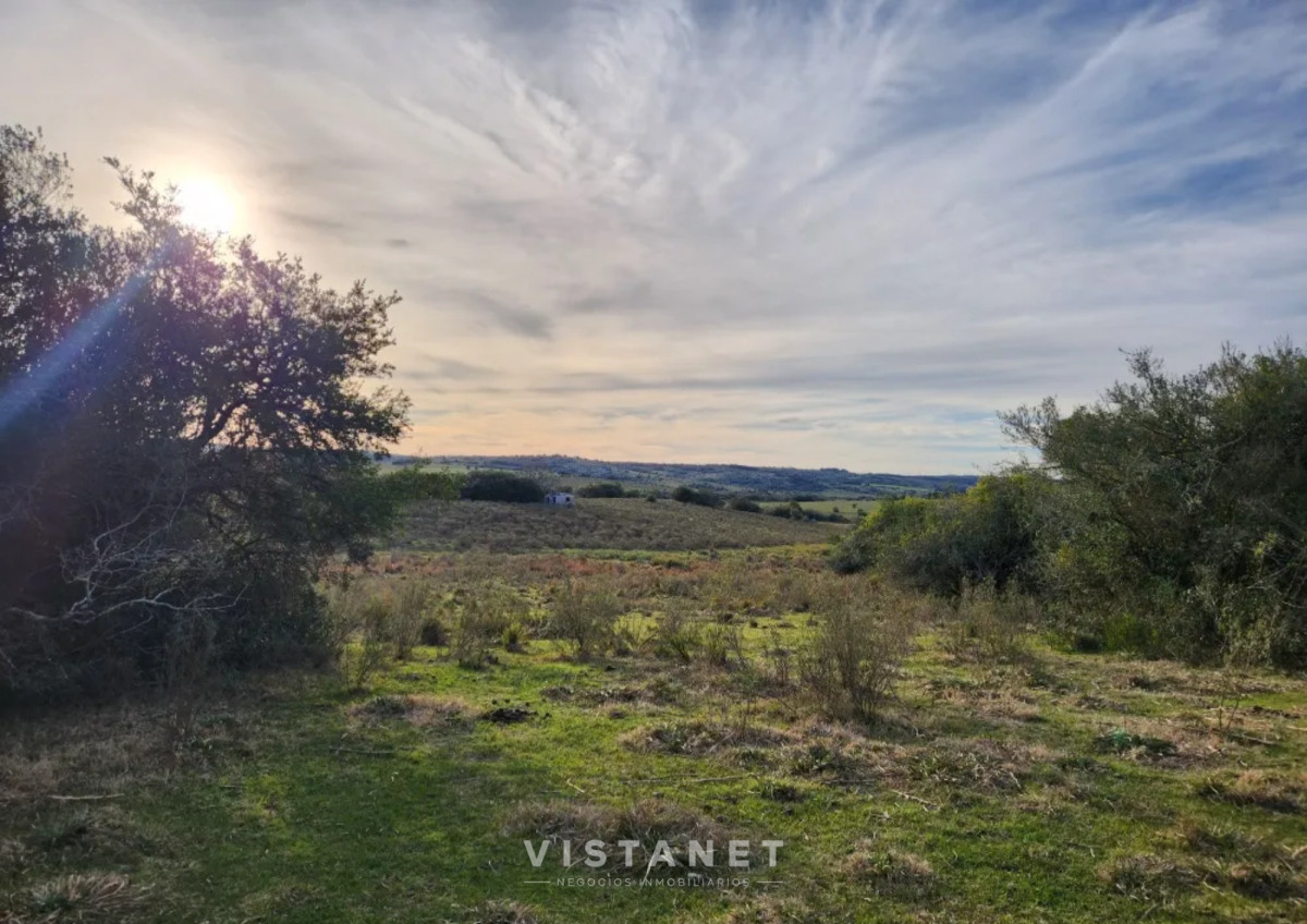 Chacra ID.160/Venta-Chacra-en-Pueblo-Garzon,-Maldonado- - Venta Chacra en Pueblo Garzon, Maldonado 