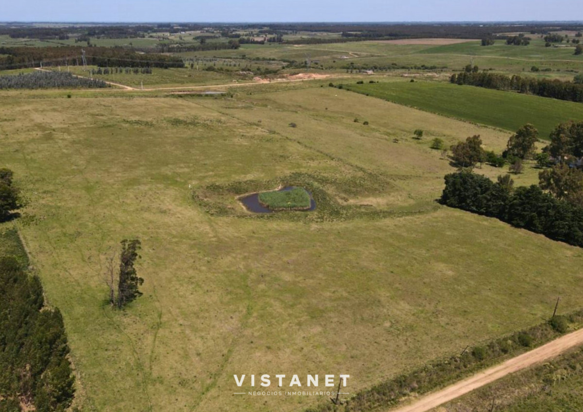 Chacra ID.233/Venta-Chacra-de-7.7Has-sobre-Ruta-11,-La-Palmita - Venta Chacra de 7.7Has sobre Ruta 11, La Palmita