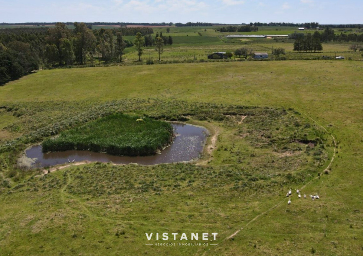 Chacra ID.233/Venta-Chacra-de-7.7Has-sobre-Ruta-11,-La-Palmita - Venta Chacra de 7.7Has sobre Ruta 11, La Palmita