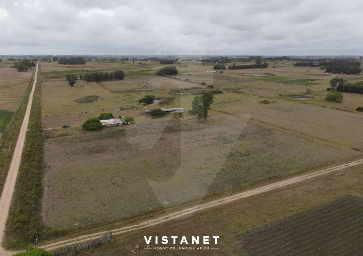 Chacra ID.74/Chacra-En-Venta-De-11has.-En-San-Jacinto - Chacra En Venta De 11has. En San Jacinto