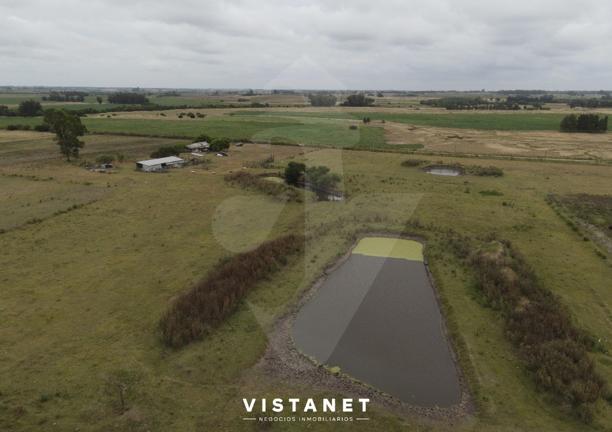 Chacra ID.74/Chacra-En-Venta-De-11has.-En-San-Jacinto - Chacra En Venta De 11has. En San Jacinto