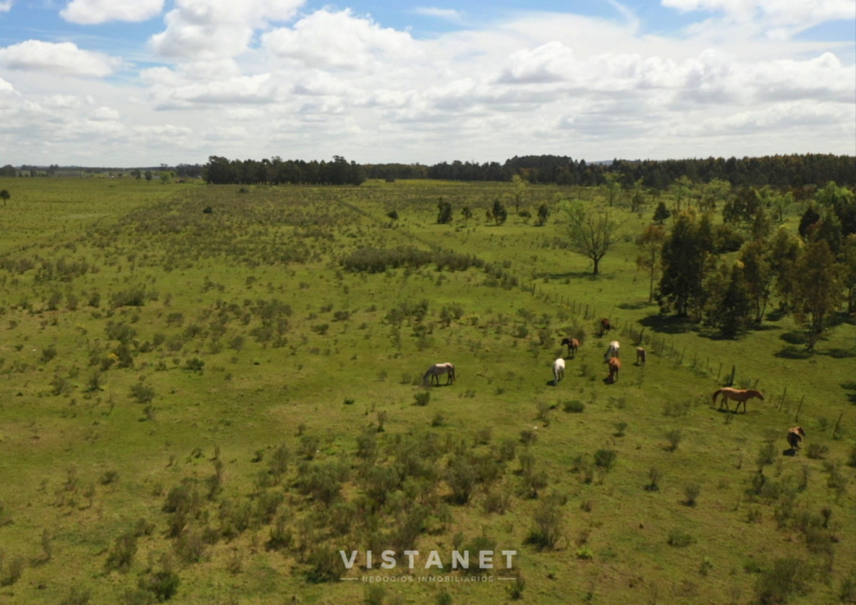 Chacra ID.277/Venta-de-Chacra-de-10-Has-en-Atlántida- - Venta de Chacra de 10 Has en Atlántida 