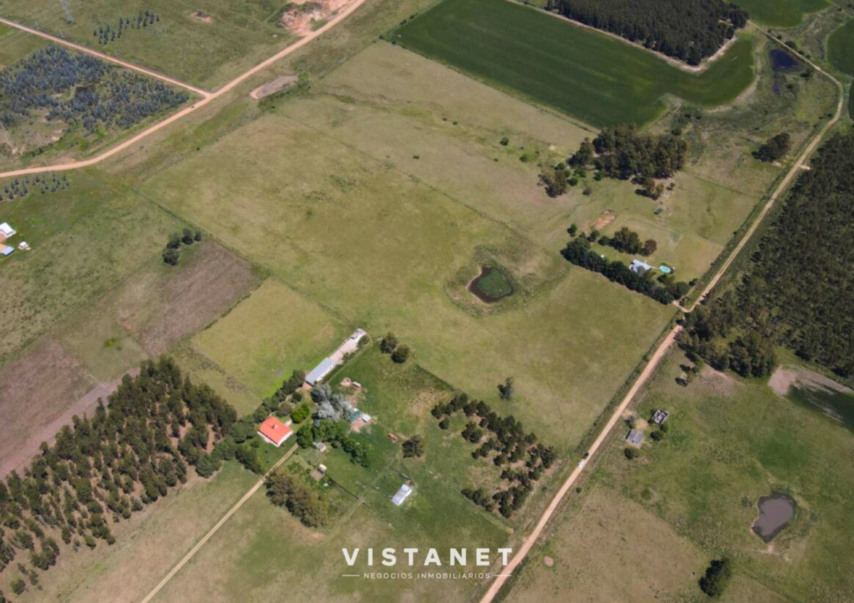Chacra ID.233/Venta-Chacra-de-7.7Has-sobre-Ruta-11,-La-Palmita - Venta Chacra de 7.7Has sobre Ruta 11, La Palmita