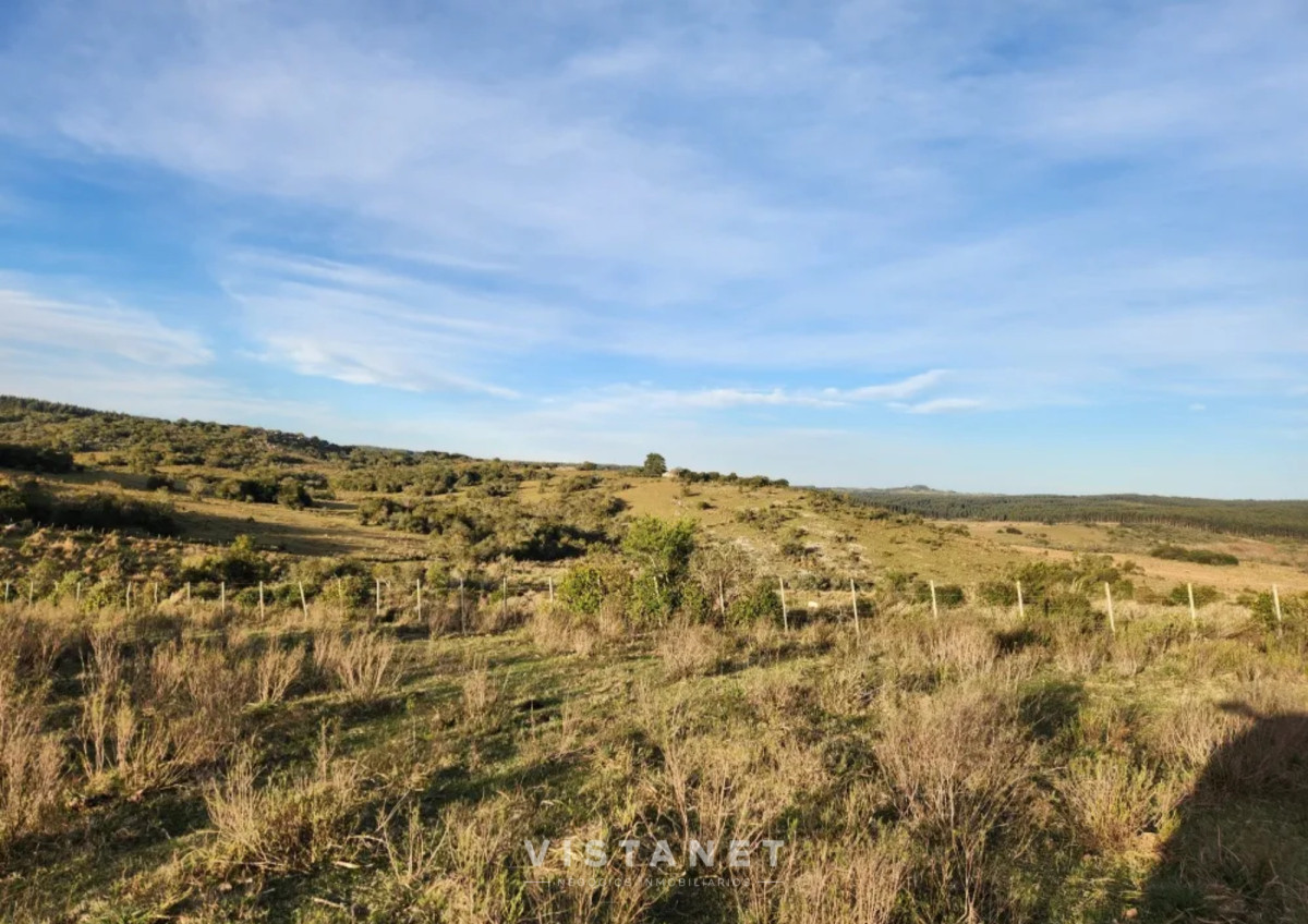 Chacra ID.160/Venta-Chacra-en-Pueblo-Garzon,-Maldonado- - Venta Chacra en Pueblo Garzon, Maldonado 