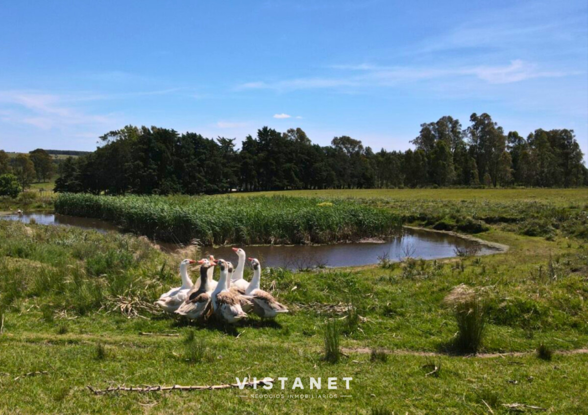 Chacra ID.233/Venta-Chacra-de-7.7Has-sobre-Ruta-11,-La-Palmita - Venta Chacra de 7.7Has sobre Ruta 11, La Palmita