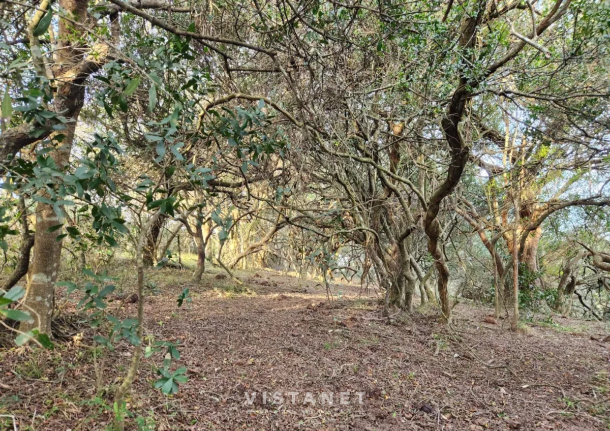 Chacra ID.160/Venta-Chacra-en-Pueblo-Garzon,-Maldonado- - Venta Chacra en Pueblo Garzon, Maldonado 