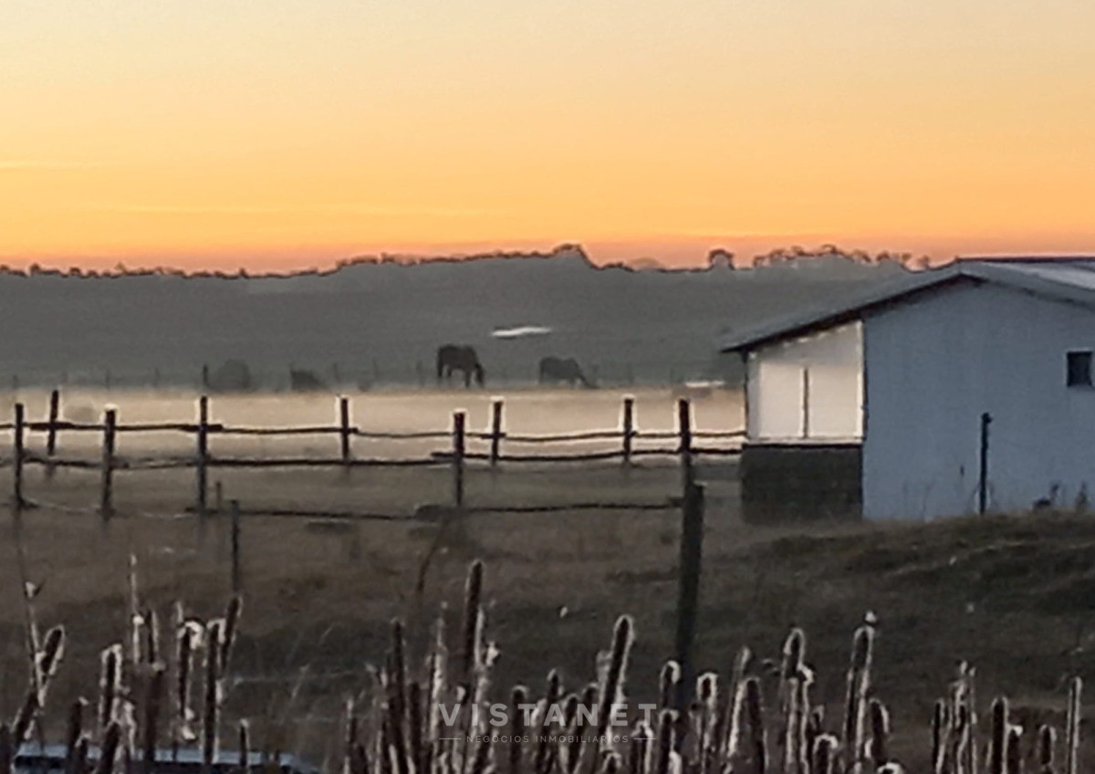 Chacra ID.205/Venta-Chacra-6-hectáreas-en-Cuchilla-Alta - Venta Chacra 6 hectáreas en Cuchilla Alta