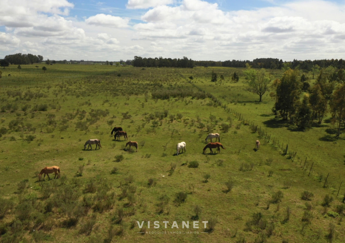 Chacra ID.277/Venta-de-Chacra-de-10-Has-en-Atlántida- - Venta de Chacra de 10 Has en Atlántida 