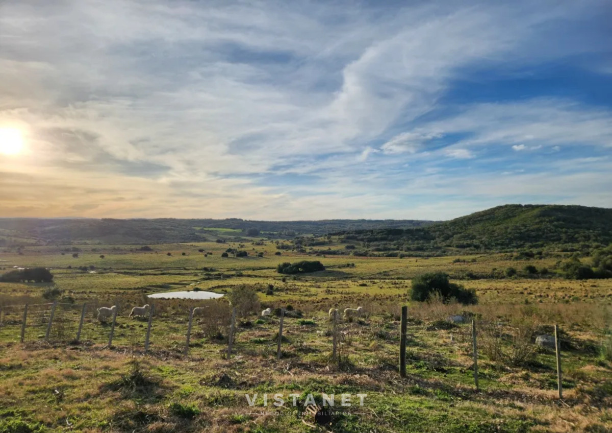 Chacra ID.160/Venta-Chacra-en-Pueblo-Garzon,-Maldonado- - Venta Chacra en Pueblo Garzon, Maldonado 