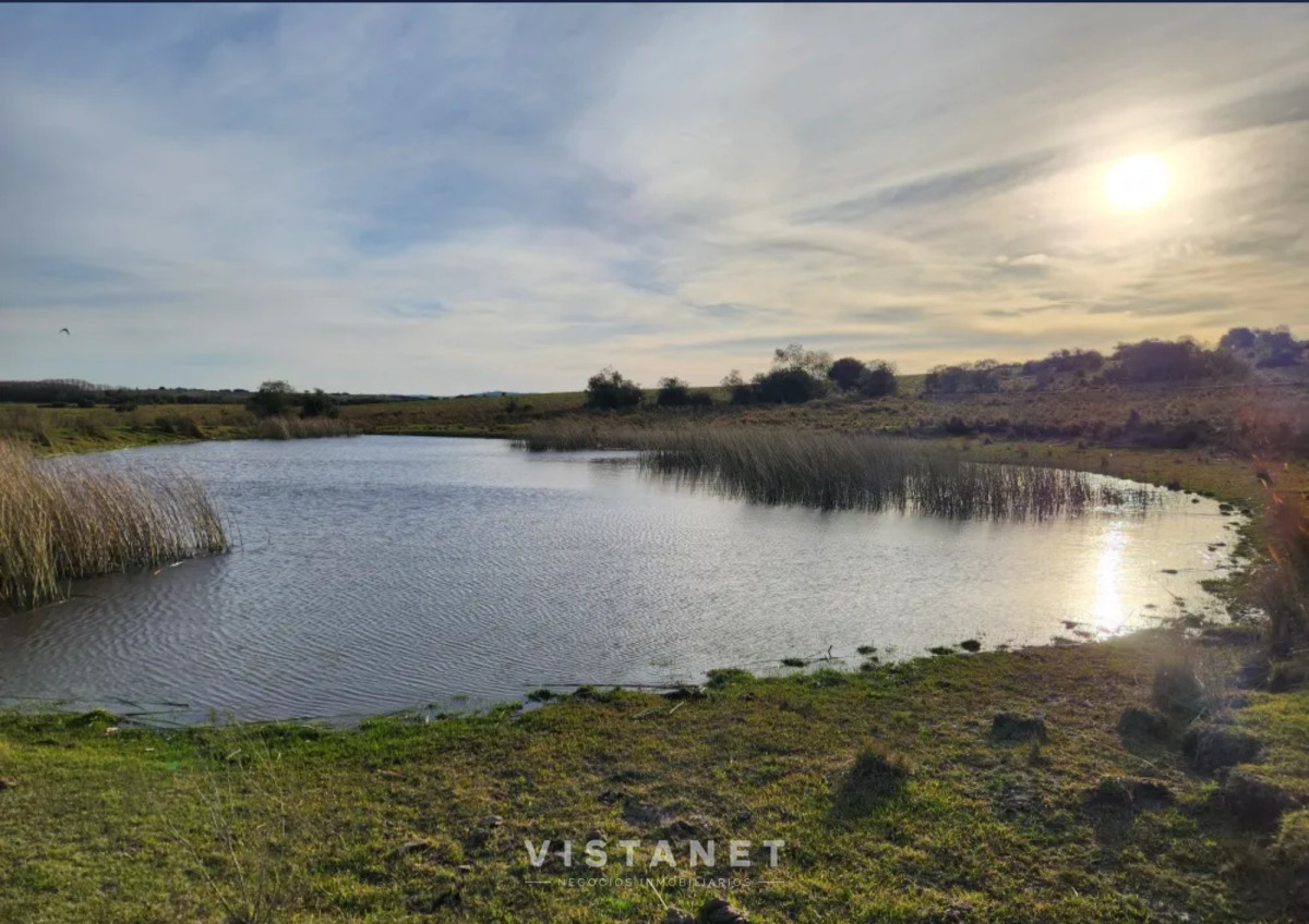 Chacra ID.160/Venta-Chacra-en-Pueblo-Garzon,-Maldonado- - Venta Chacra en Pueblo Garzon, Maldonado 