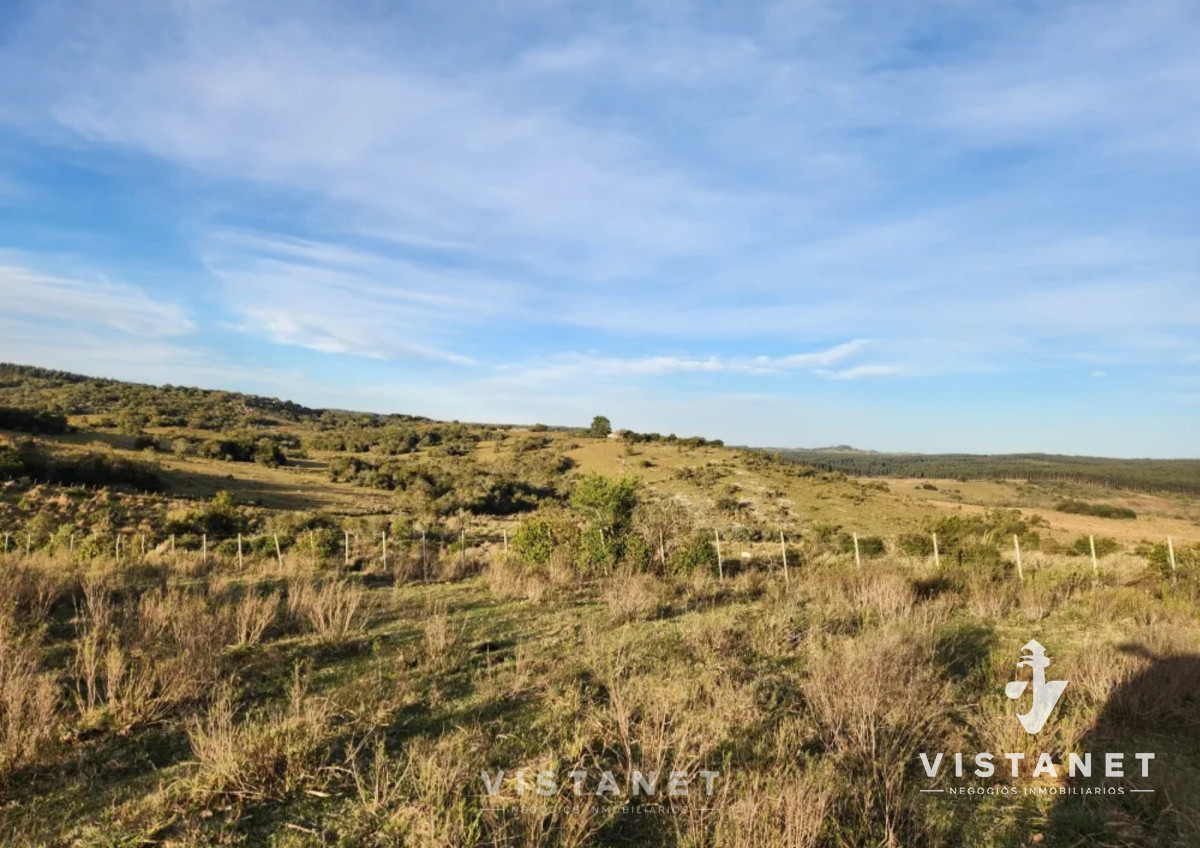 Chacra ID.160/Venta-Chacra-en-Pueblo-Garzon,-Maldonado- - Venta Chacra en Pueblo Garzon, Maldonado 