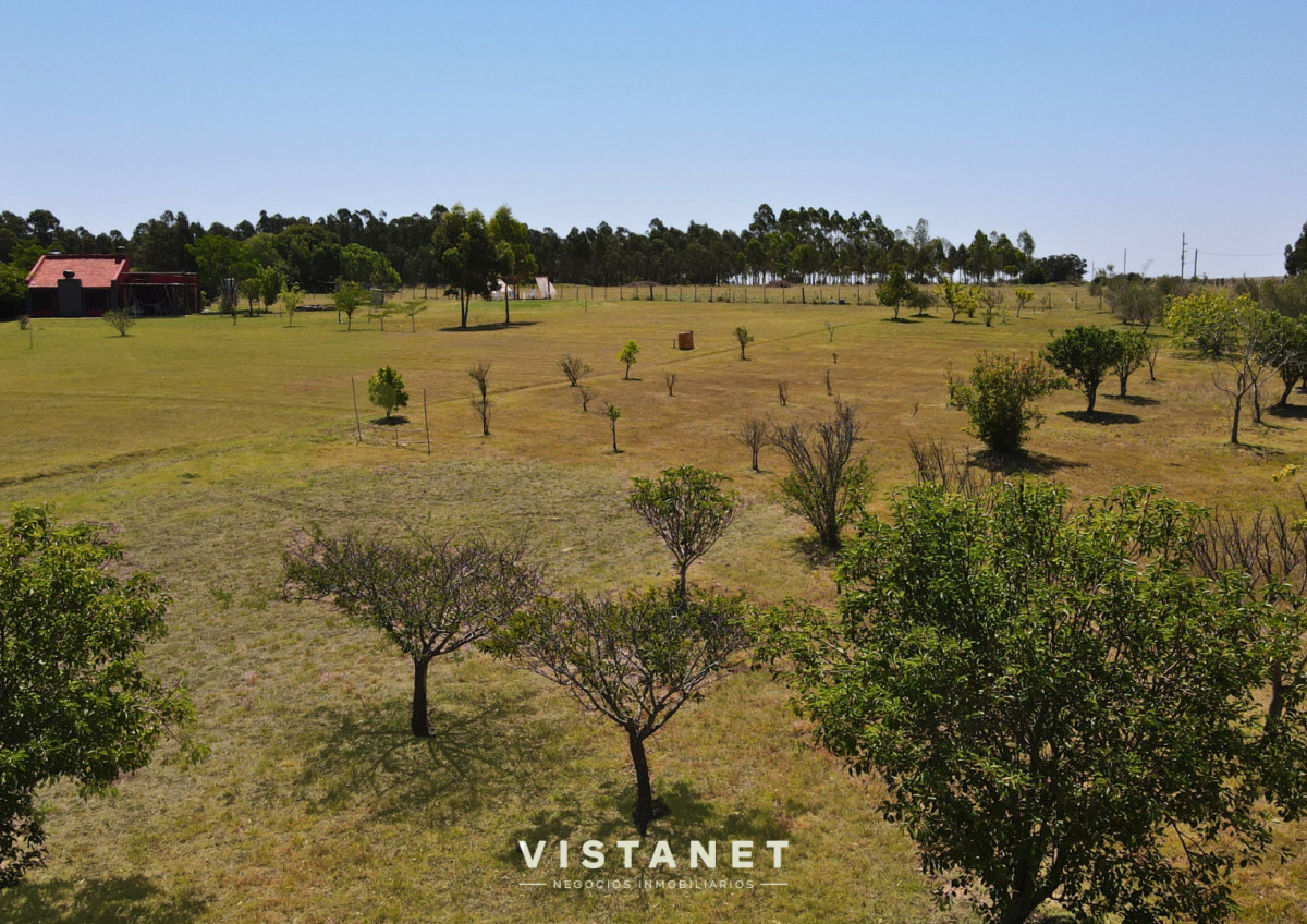 Chacra ID.316/Venta-de-Chacra-de-4Has-en-Ruta-9,-Capilla-de-Cella,-Canelones - Venta de Chacra de 4Has en Ruta 9, Capilla de Cella, Canelones